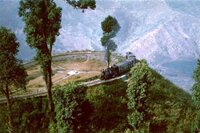 Darjeeling Dream (3N/4D)