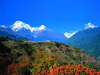 Gems of Eastern Himalayas